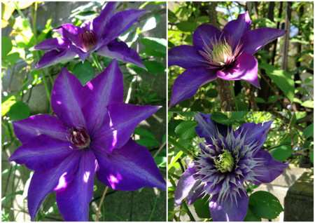 f:id:silk-y:20150502235335j:image:w500 f:id:silk-y:20150502235335j:image:w500