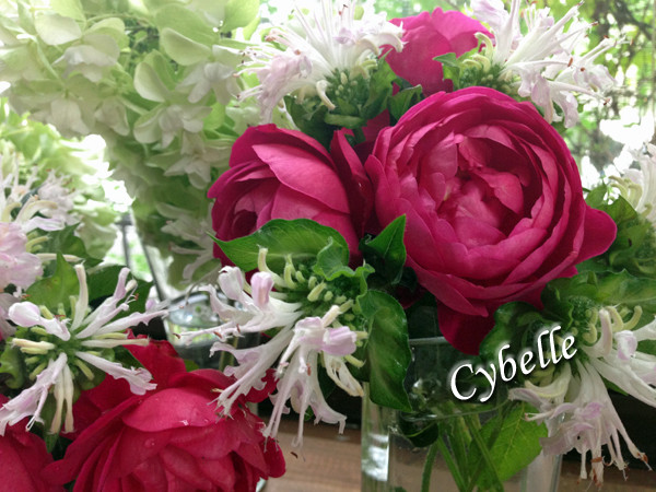 f:id:silk-y:20150705182333j:image:w325:right