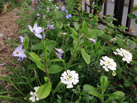 f:id:silk-y:20190407201320j:plain