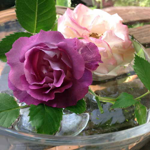 f:id:silk-y:20190505204753j:plain