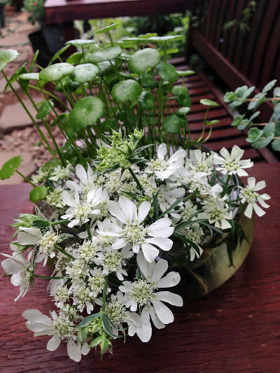 f:id:silk-y:20190507100624j:plain