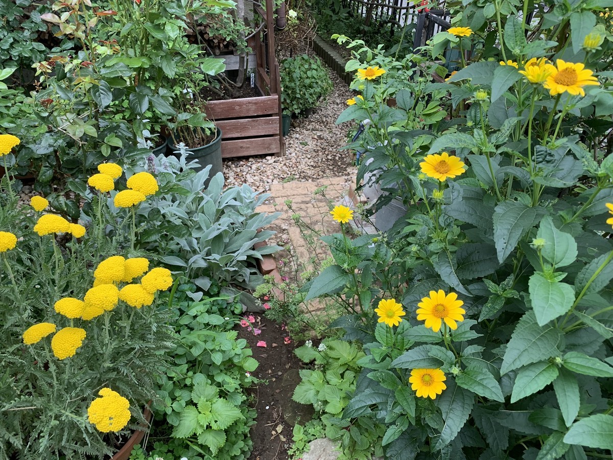 f:id:silk-y:20190621194955j:plain