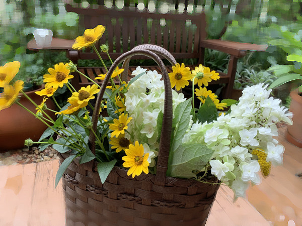 f:id:silk-y:20190702194212j:plain