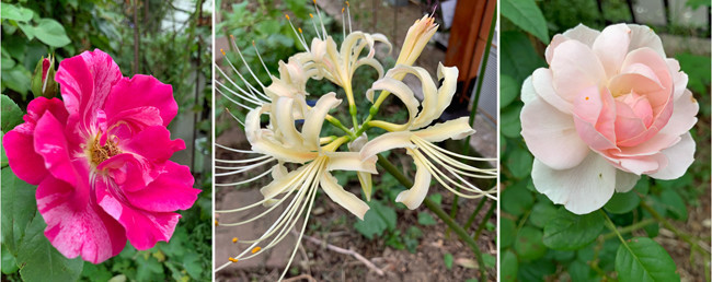 f:id:silk-y:20190926204140j:plain
