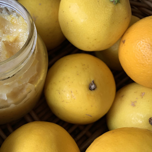 f:id:silk-y:20200708200735j:plain