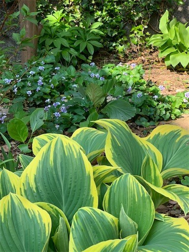 f:id:silk-y:20220413183841j:image