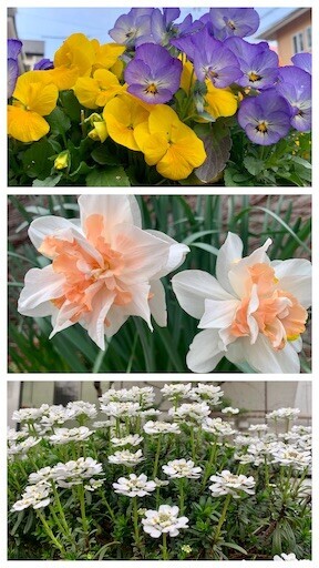 f:id:silk-y:20230321100322j:image