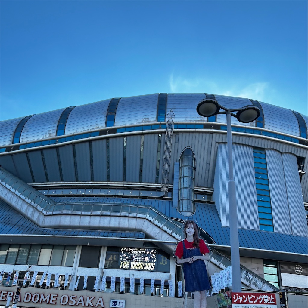 f:id:silkkydry_yyh:20240721230128j:image