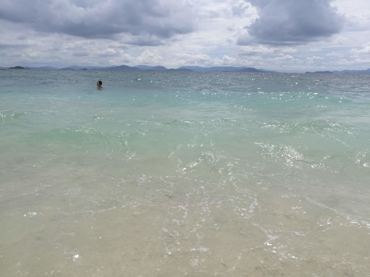 f:id:silkwarm:20190511143419j:plain f:id:silkwarm:20190511143419j:plain