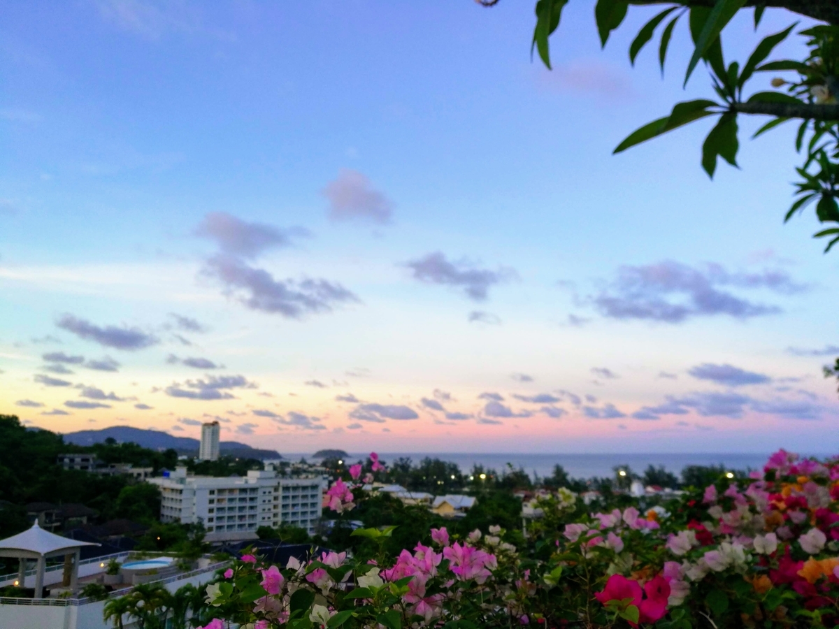 f:id:silkwarm:20190511143442j:plain f:id:silkwarm:20190511143442j:plain