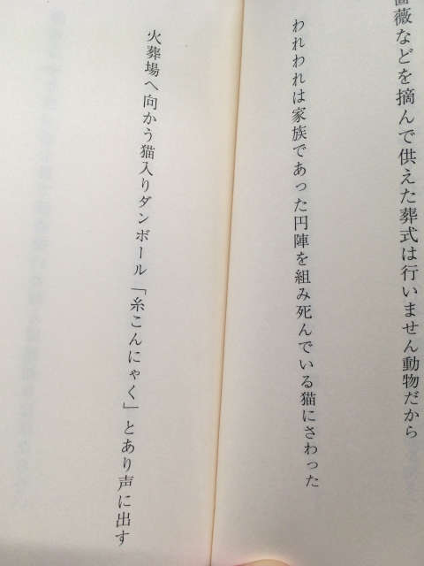 f:id:silossowski:20181231011006j:plain:w400 火葬場へ向かう猫入りダンボール「糸こんにゃく」とあり声に出す