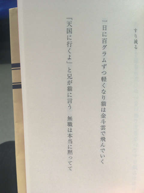 「天国に行くよと兄が猫に言う」　無職は本当に黙ってて