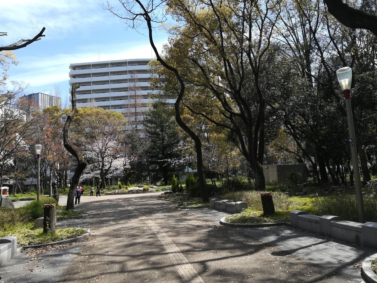 f:id:silver-23:20190405131814j:plain f:id:silver-23:20190405131814j:plain