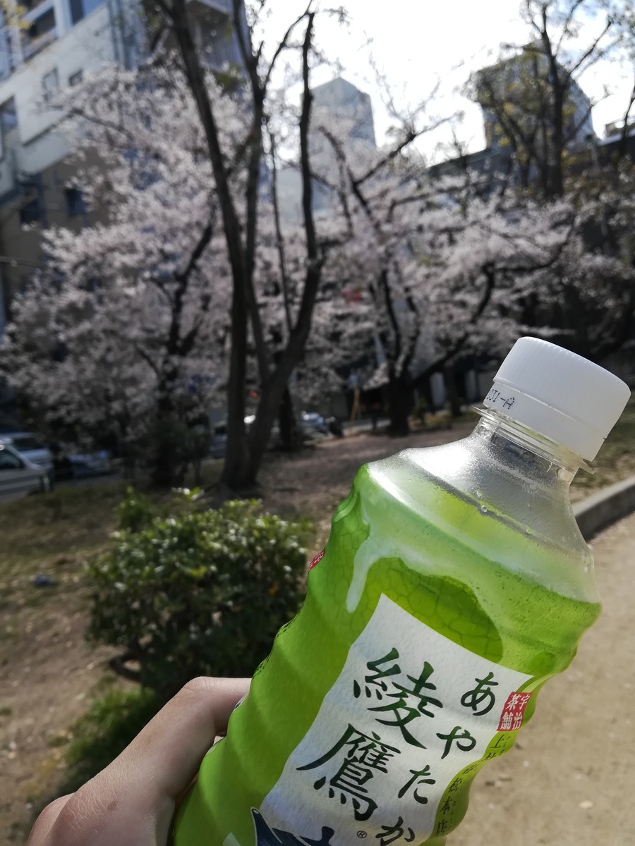 f:id:silver-23:20190405134118j:plain f:id:silver-23:20190405134118j:plain