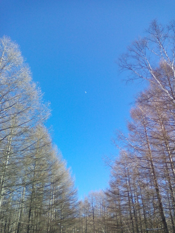 青い空に浮かぶ月