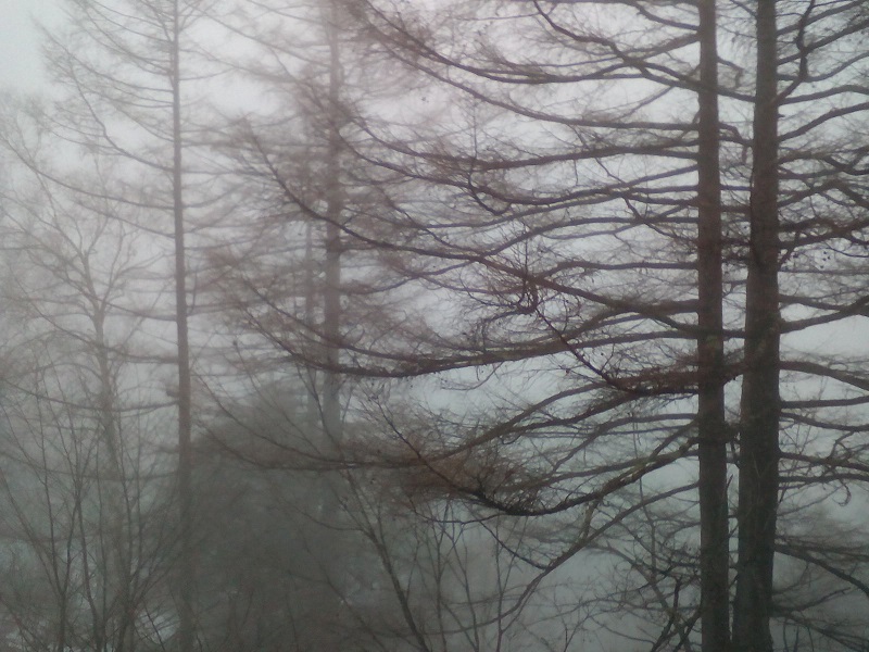 20210313-霧