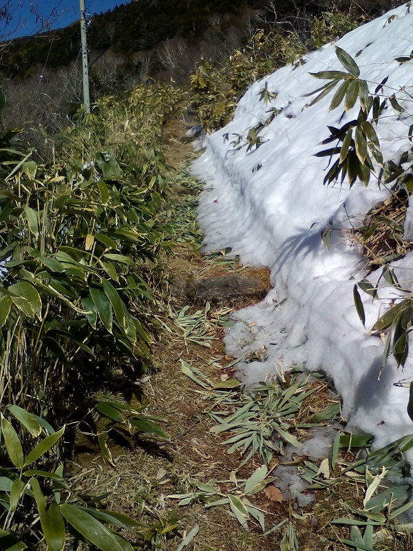 20210318-アプローチの雪融け