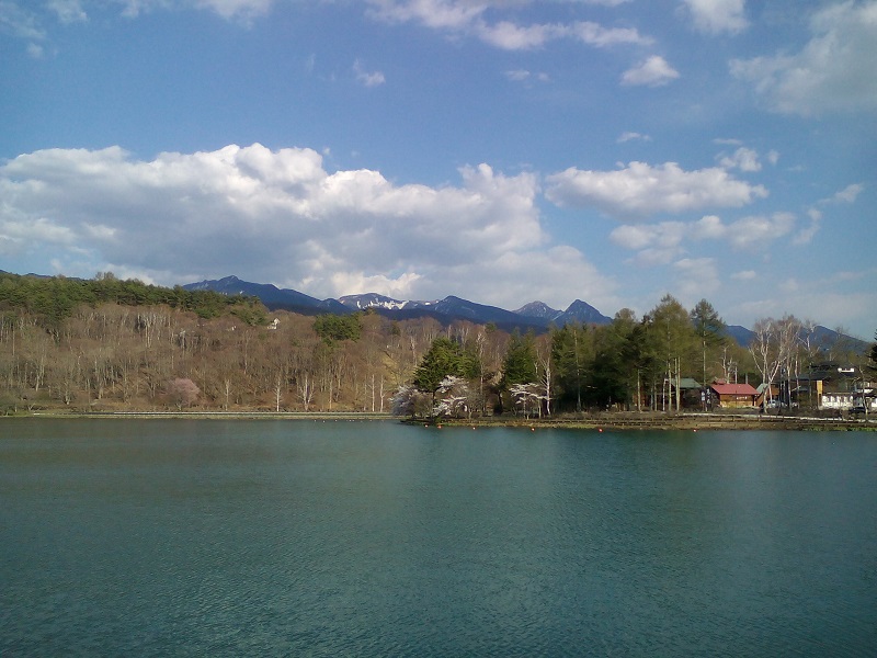 20210421-蓼科湖の桜