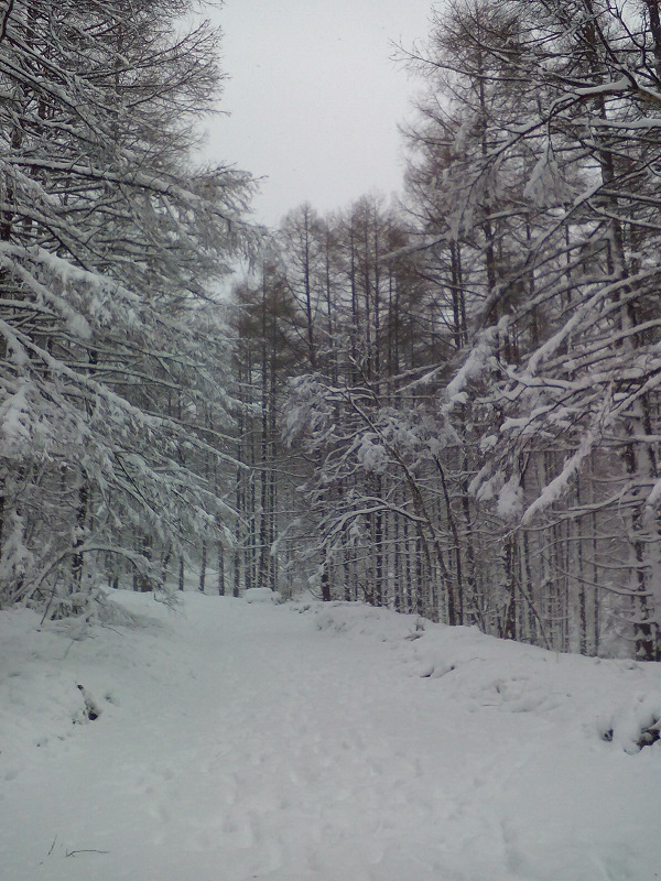 20211208-まとまった雪2
