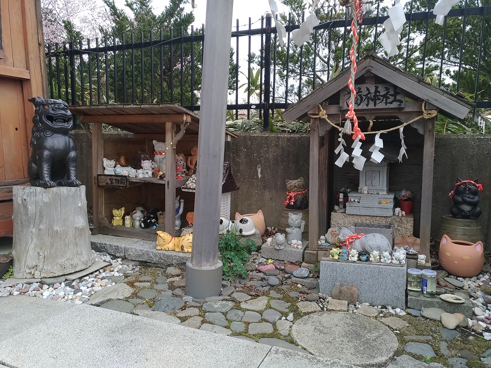 20240516-(4)猫神社