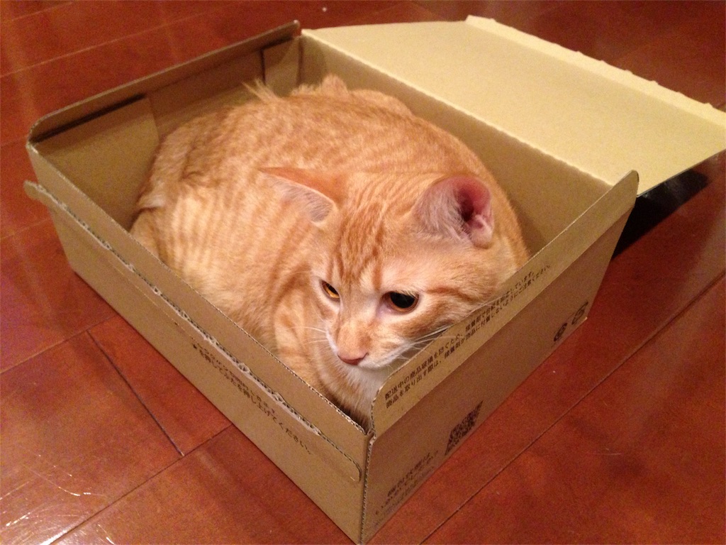 f:id:silver-tabby:20171211235702j:image f:id:silver-tabby:20171211235702j:image