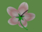 五葉の花弁