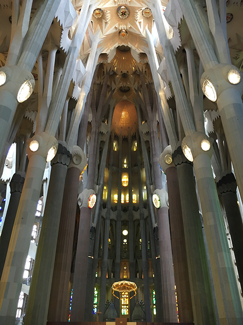 f:id:silvernetworks:20160706164844p:plain