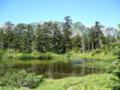 [登山][2007夏]20070731竜晶池