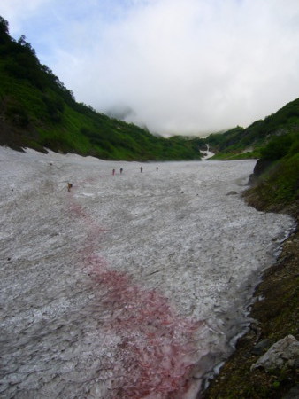 f:id:silvertail:20090724062452j:image f:id:silvertail:20090724062452j:image