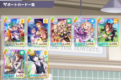 ウマ娘　4扉　4ストブ　デッキ　（大量パーツつき） ストブ枝ウマ娘デッキガイド/2025.1｜はすば