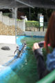 [群馬県][桐生が岡遊園地・動物]