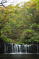 [長野県][白糸の滝]