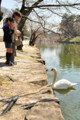 [滋賀県][彦根城]