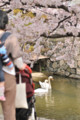 [岡山県][倉敷]