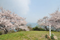 [広島県][因島]