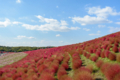 [茨城県]