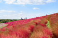 [茨城県]