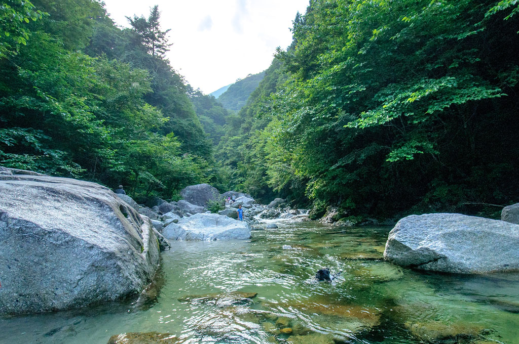 個別「[山梨県][尾白川渓谷]」の写真、画像 - sima-boxの写箱