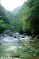 [山梨県][尾白川渓谷]