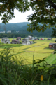 [新潟県][大地の芸術祭]