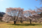 20180410130833