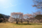 20180410130837