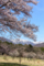 20180410131019