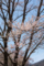 20180410131041