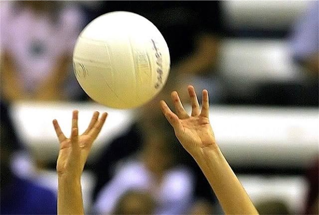 f:id:sima__blog:20210425192002j:image f:id:sima__blog:20210425192002j:image