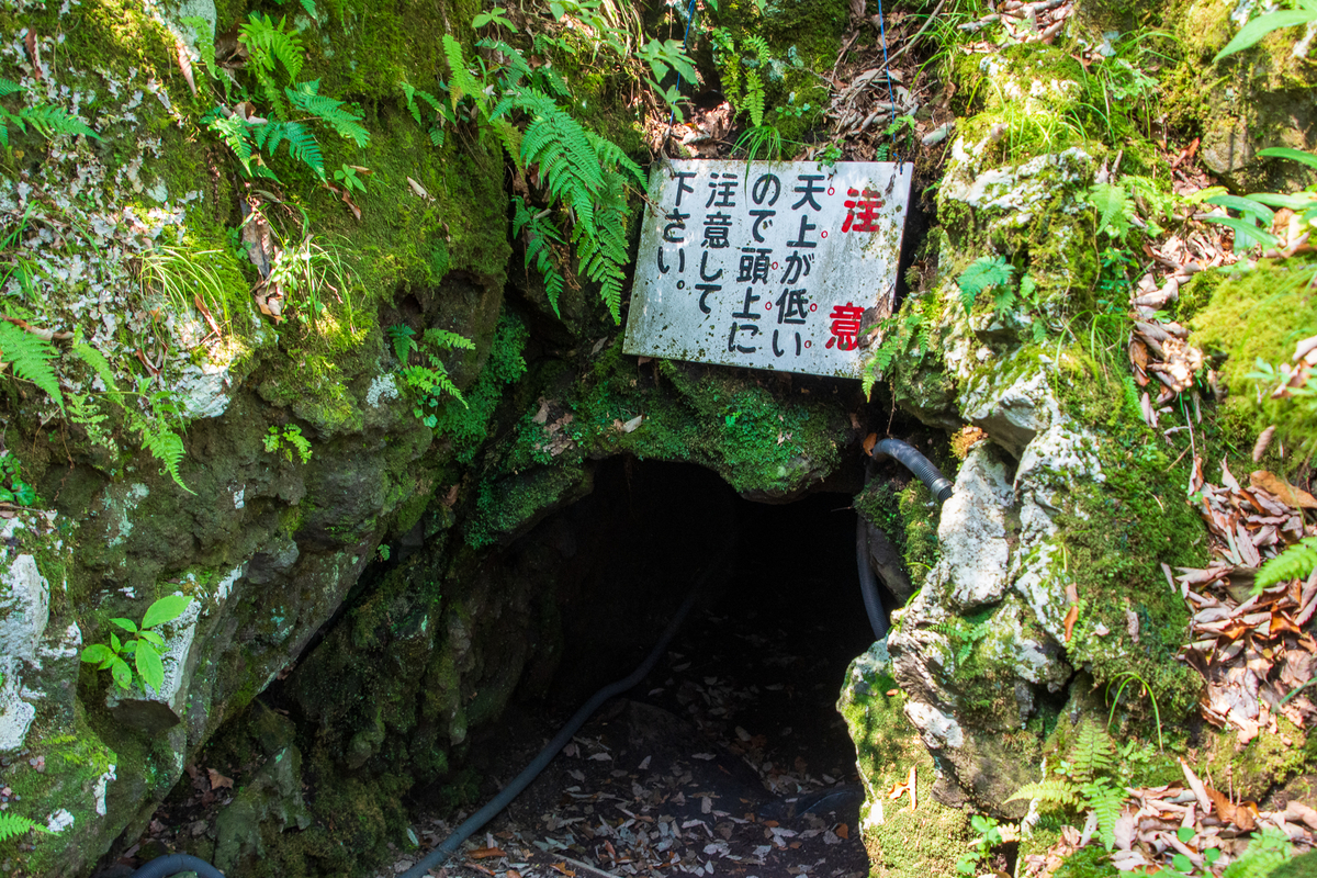 f:id:sima__tetteke:20200823195232j:plain 溶岩隧道「御胎内」