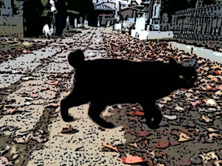 f:id:simadoufu:20091201005007j:image:left
