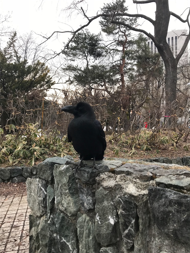 f:id:simamaki12:20180331230827j:image