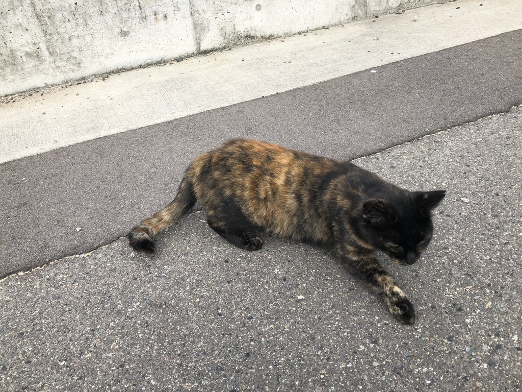 f:id:simameguri:20180914153127j:plain f:id:simameguri:20180914153127j:plain