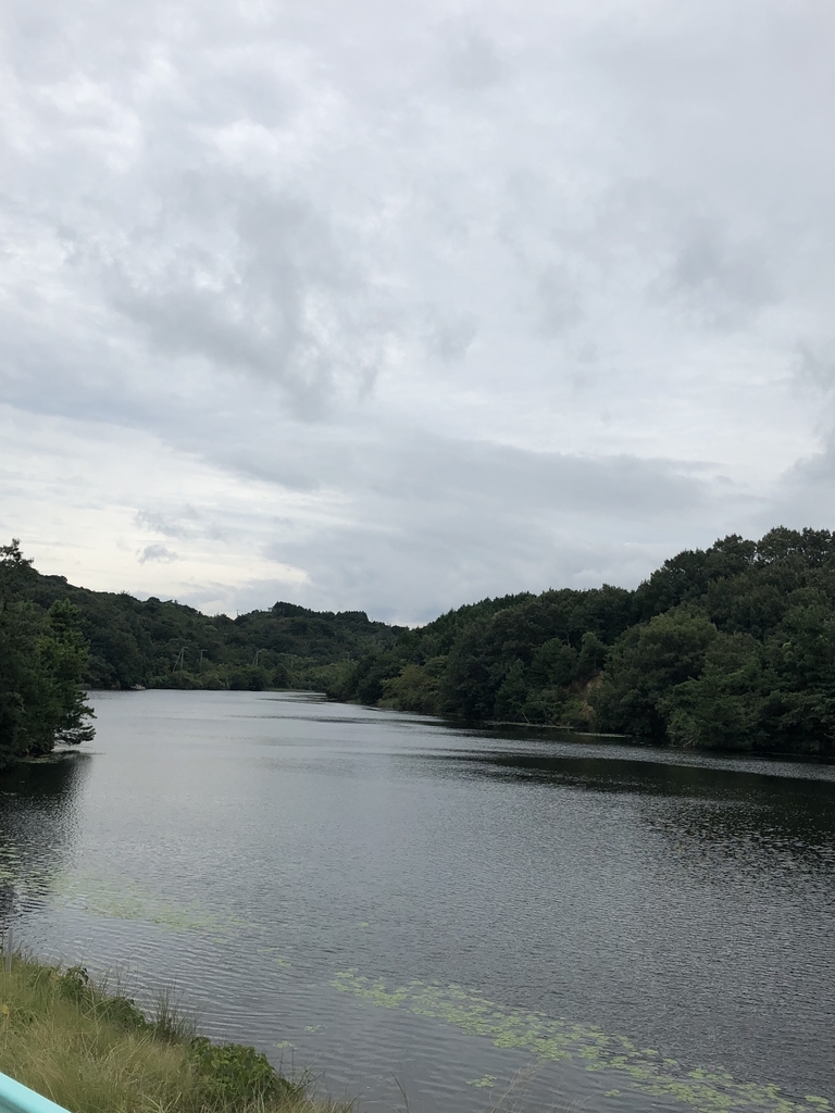 f:id:simameguri:20180915020513j:plain f:id:simameguri:20180915020513j:plain